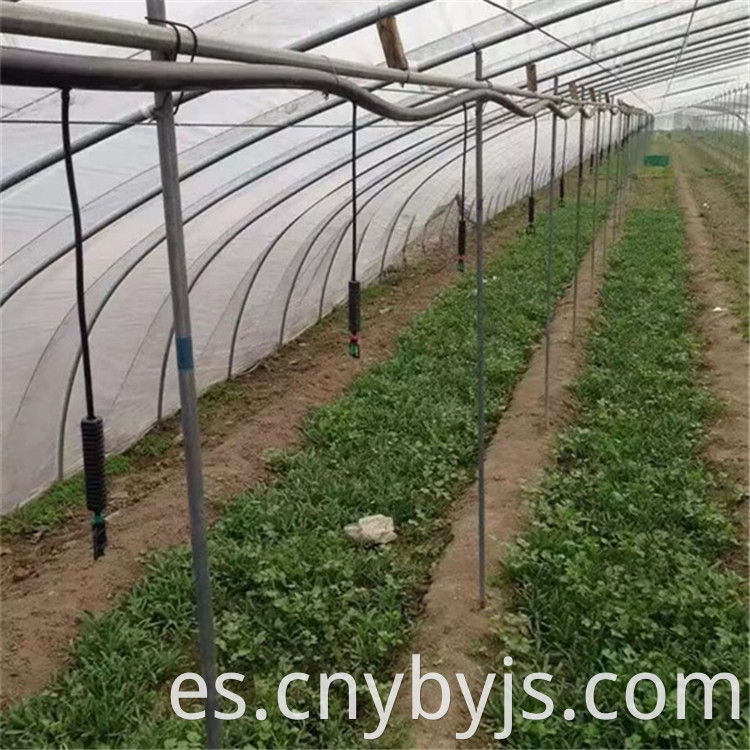 Drip Irrigation 86